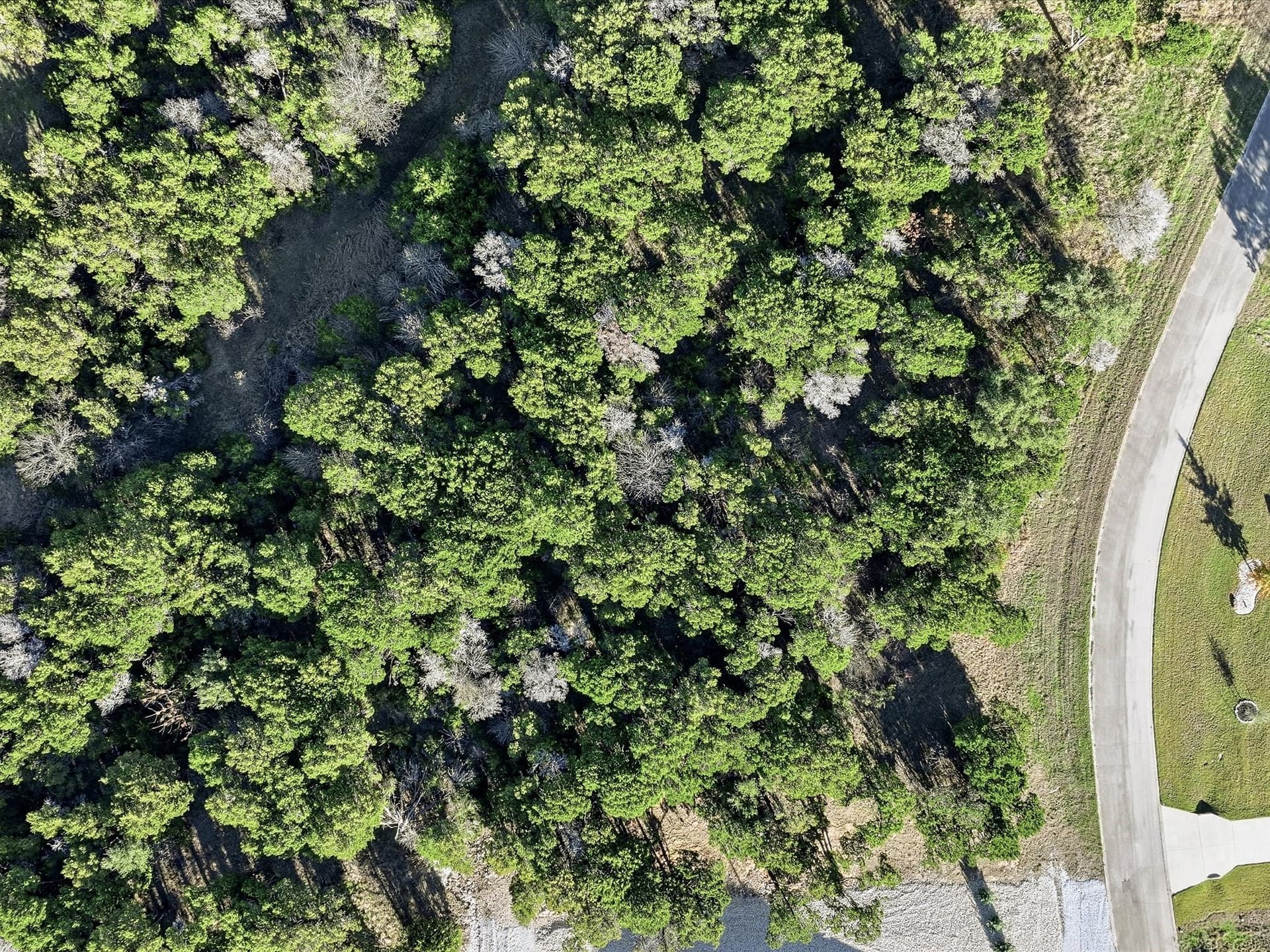1.23 acres in Johnson County - photo 11