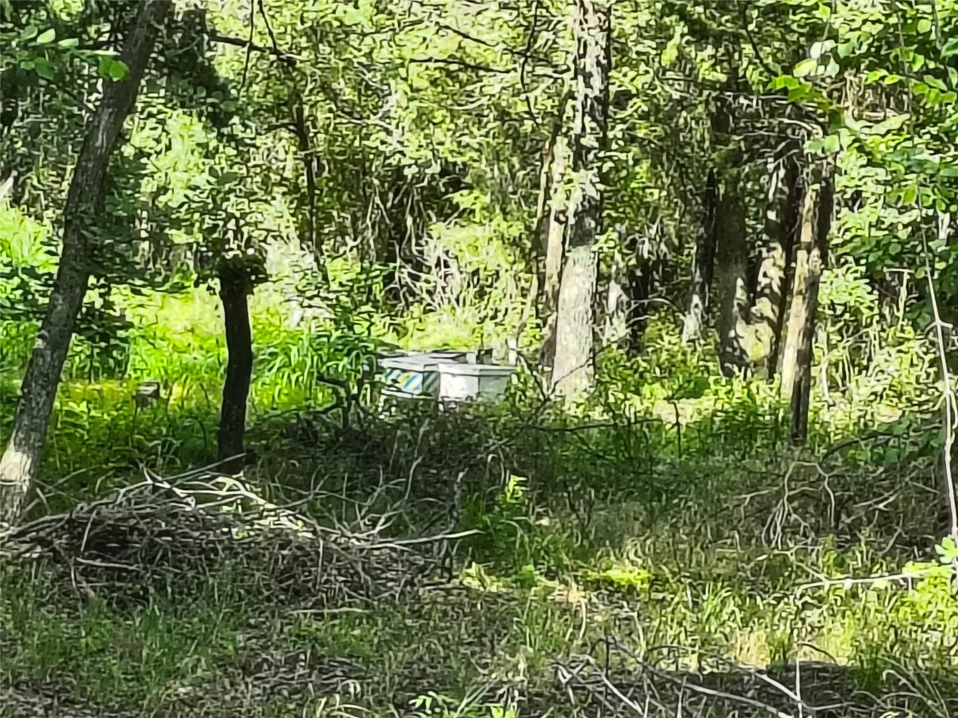 10.54 acres in Wise County - photo 11