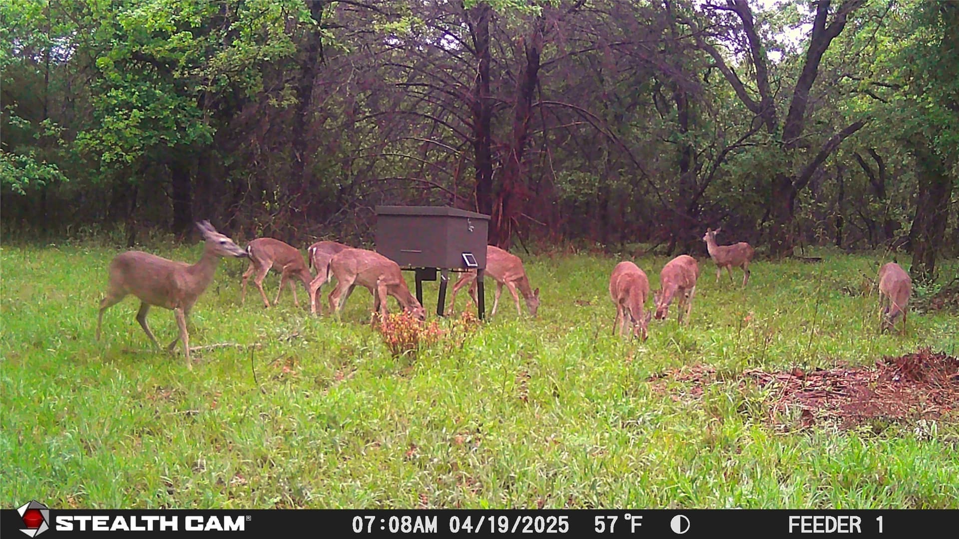 10.54 acres in Wise County - photo 16