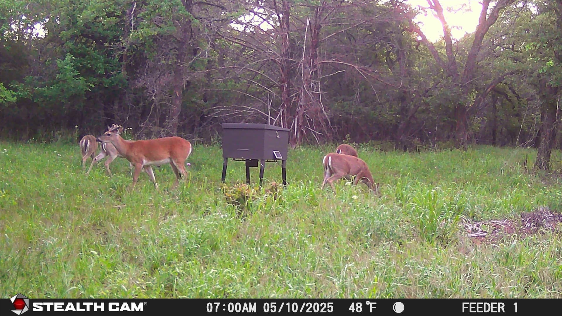 10.54 acres in Wise County - photo 18