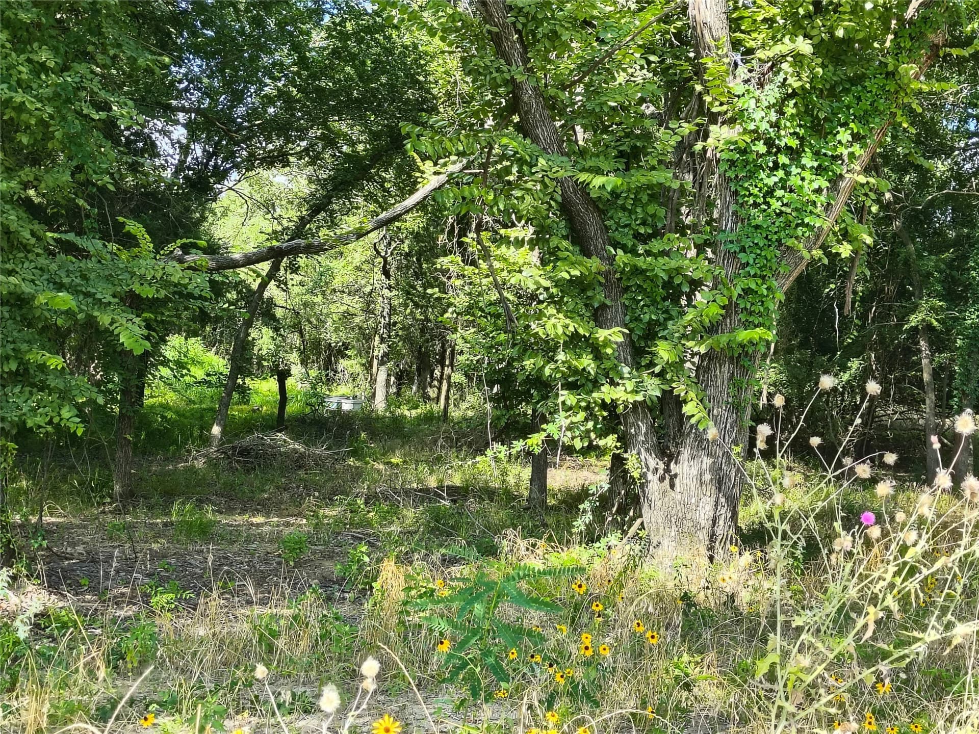 10.54 acres in Wise County - photo 12