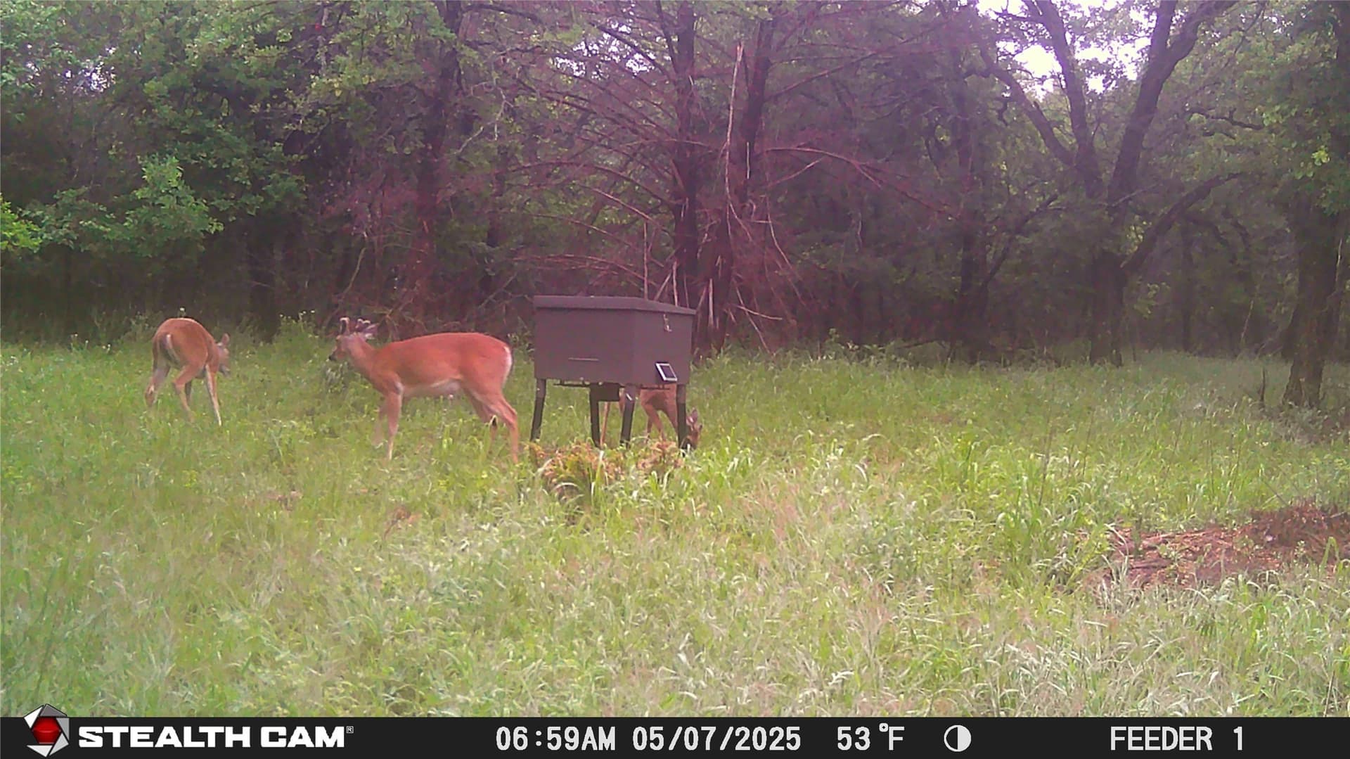10.54 acres in Wise County - photo 17