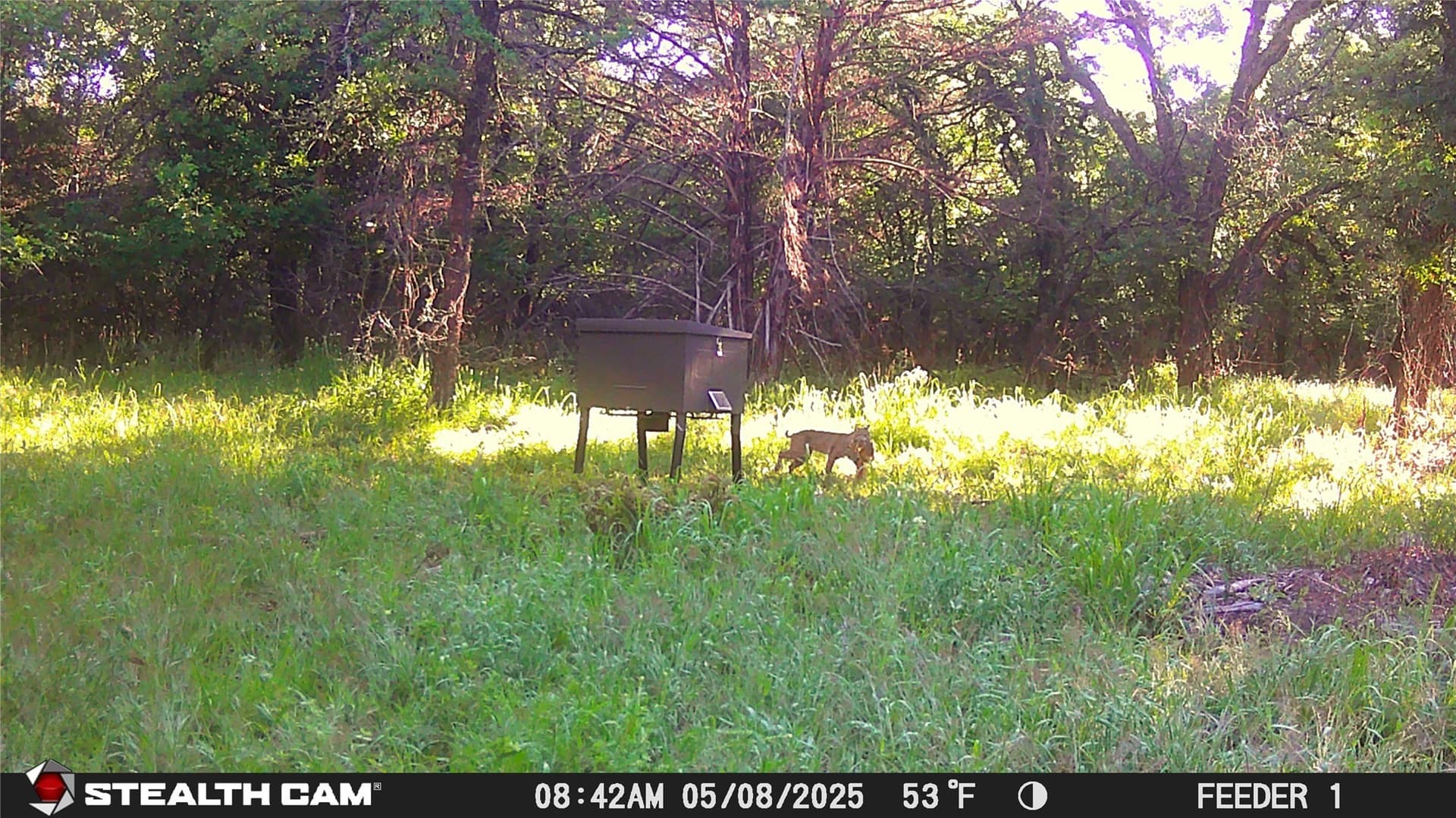 10.54 acres in Wise County - photo 20