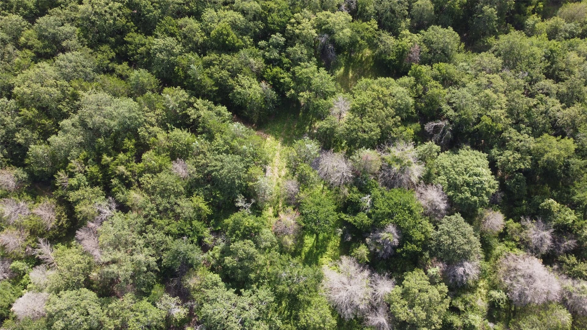 10.54 acres in Wise County - photo 3