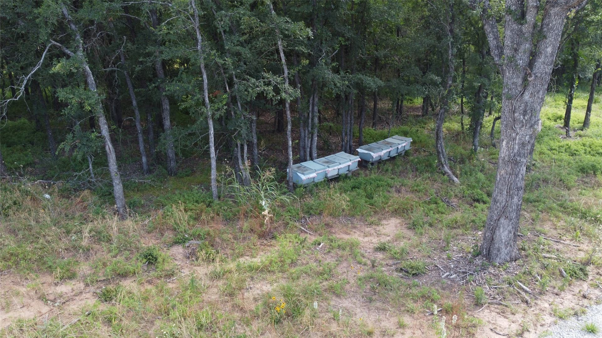 10.54 acres in Wise County - photo 9