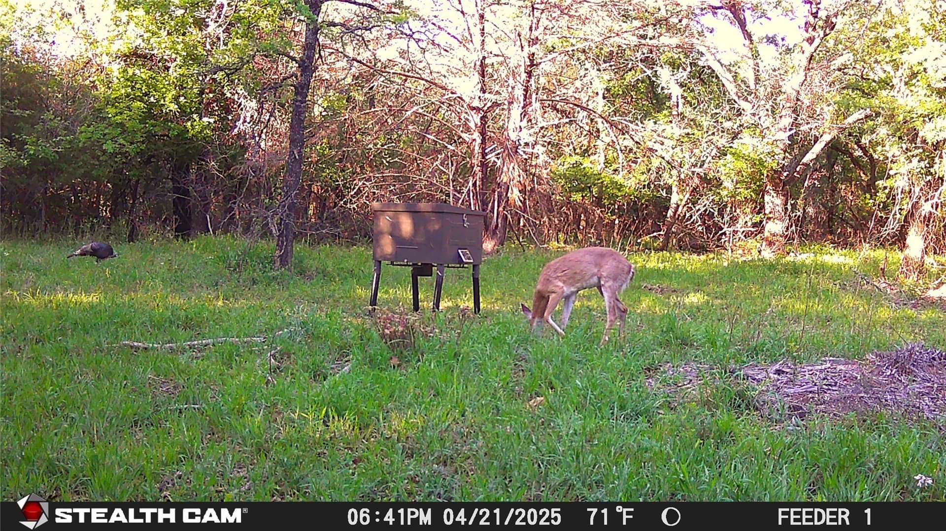 10.54 acres in Wise County - photo 19