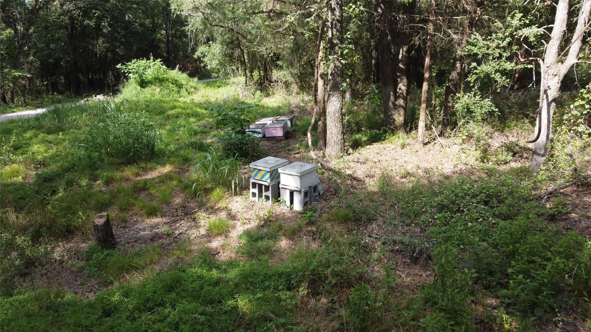 10.54 acres in Wise County - photo 8