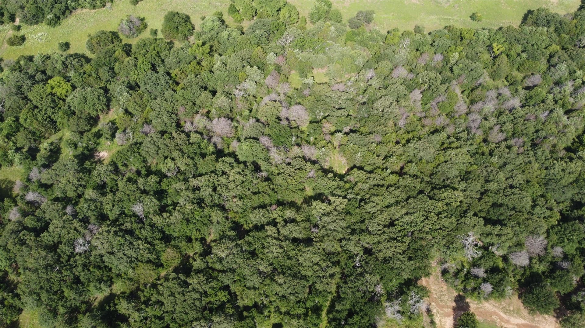 10.54 acres in Wise County - photo 7