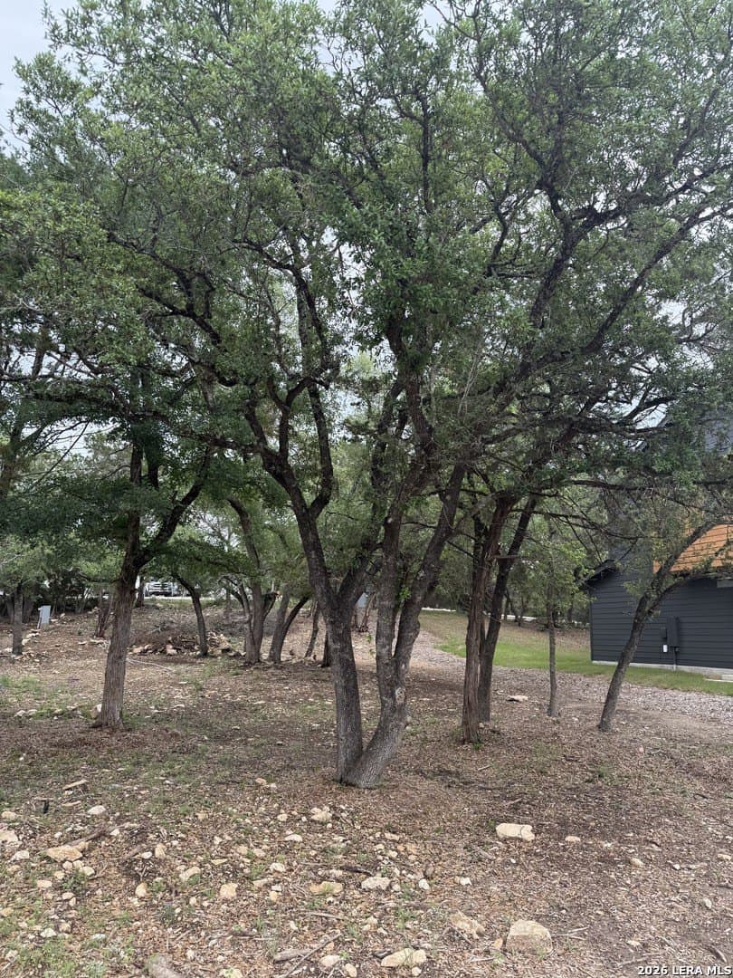 0.09 acres in Comal County gallery image 2