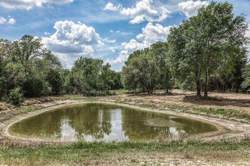 22.5 acres in Washington County gallery image 3