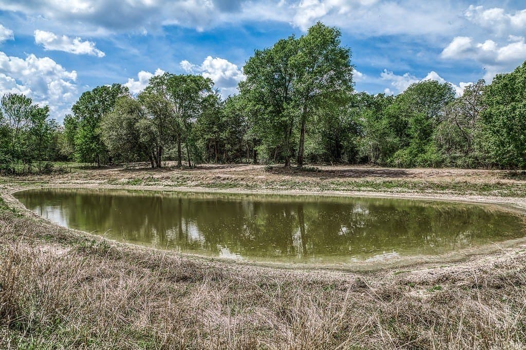 22.5 acres in Washington County featured view