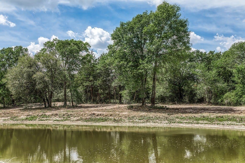 22.5 acres in Washington County gallery image 4