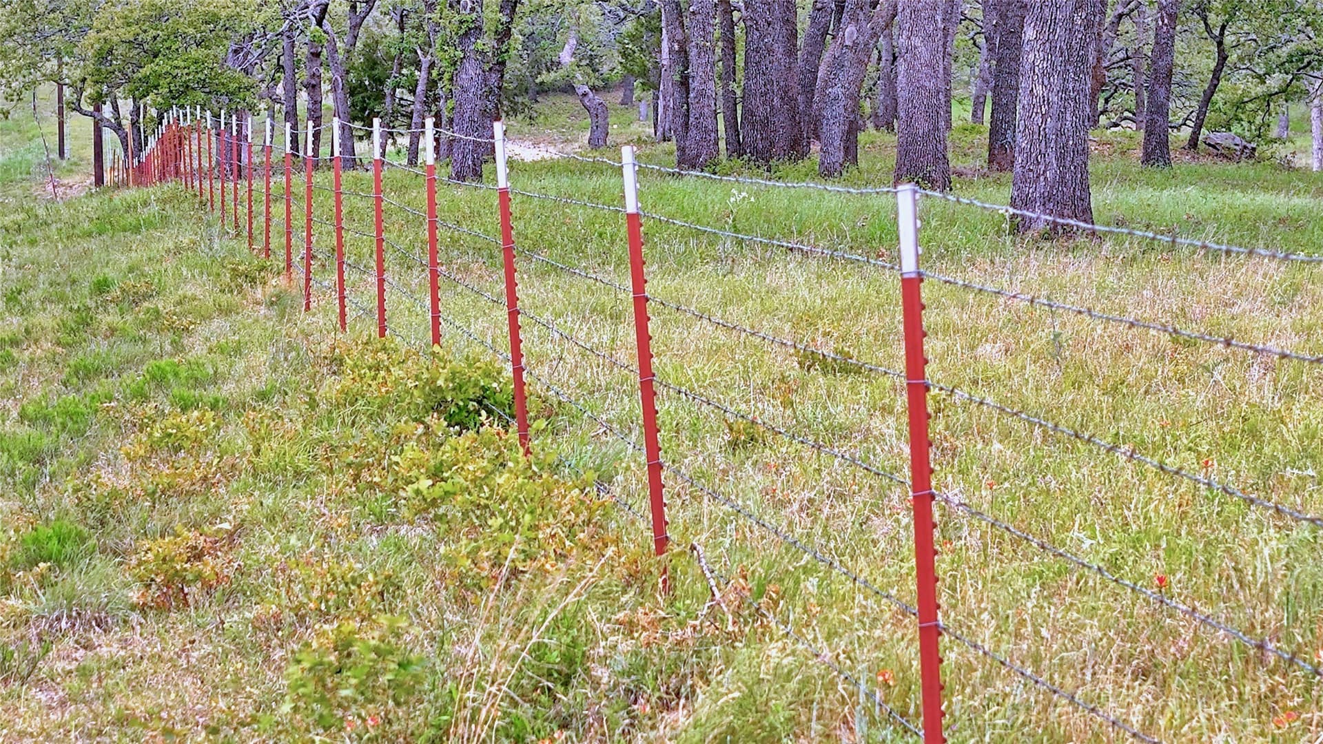 8.66 acres in Montague County - photo 28