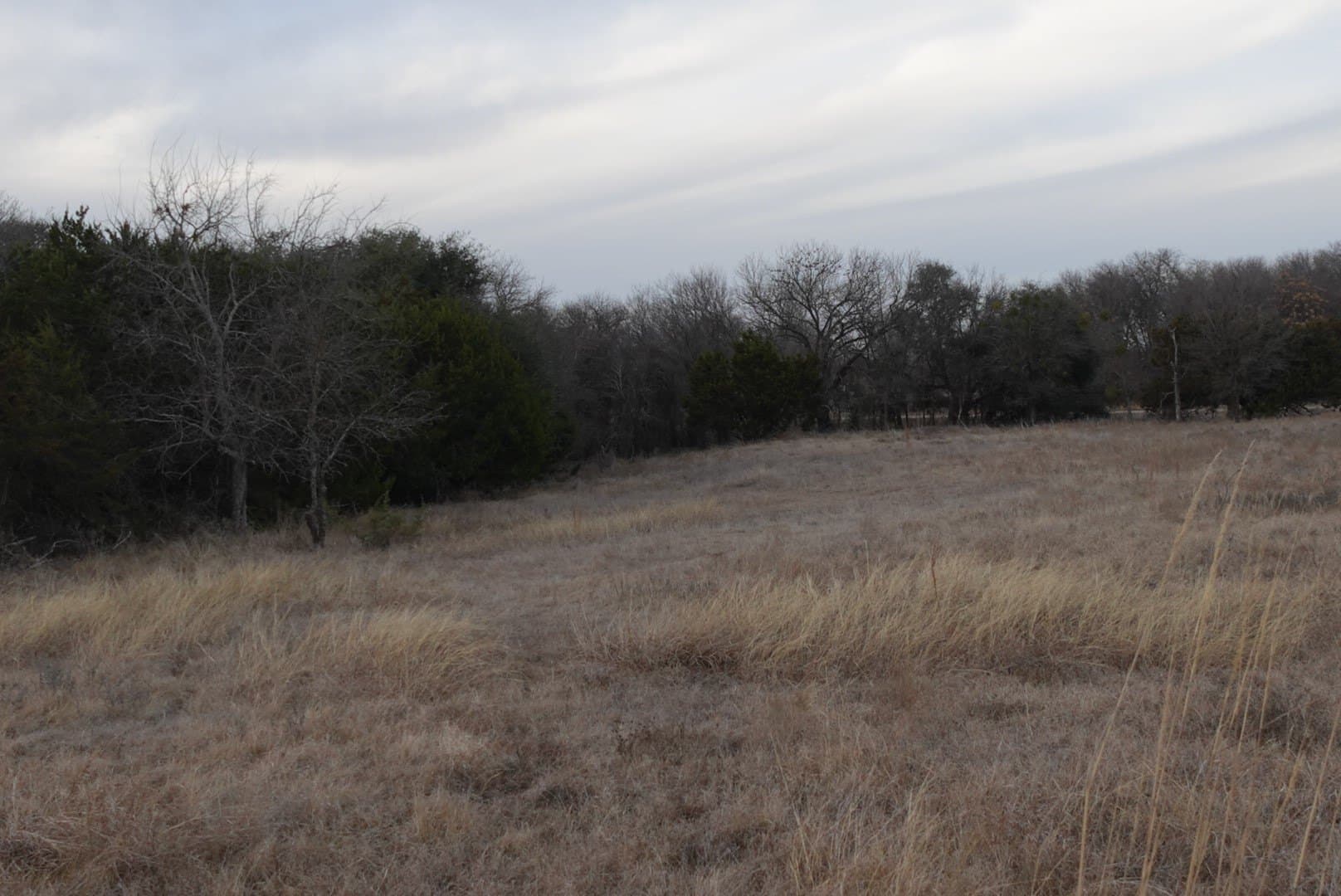 10.6 acres in Erath County - photo 12
