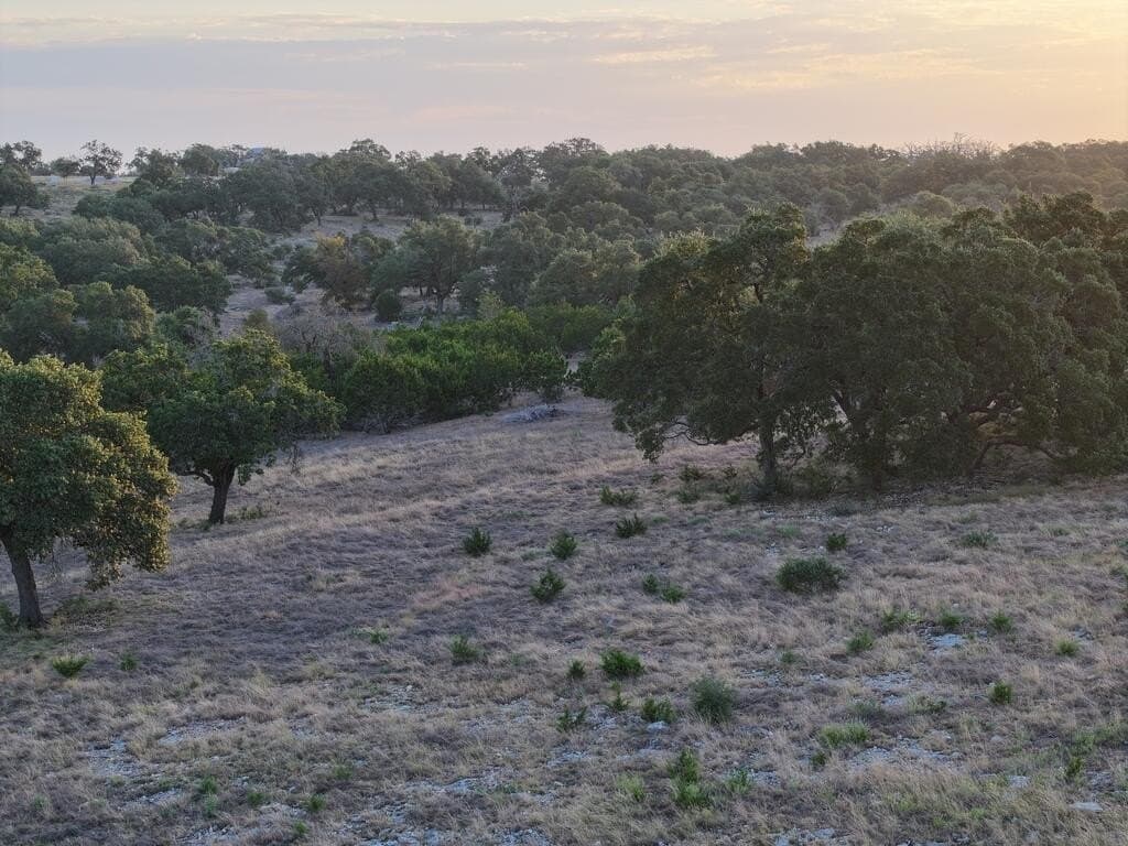 12.33 acres in Gillespie County - photo 8