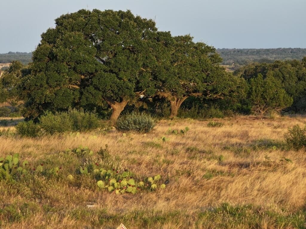 12.33 acres in Gillespie County - photo 7