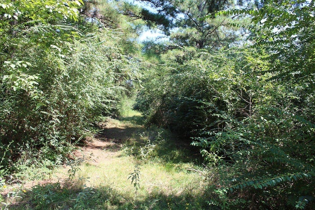0.29 acres in Waller County featured view