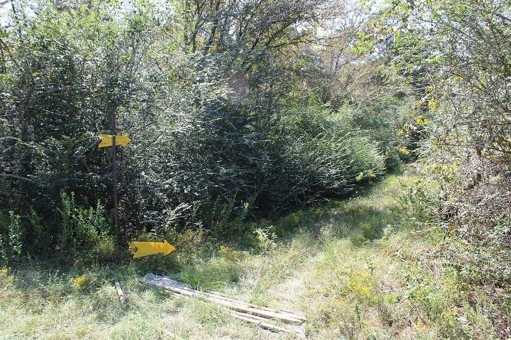 0.29 acres in Waller County gallery image 3