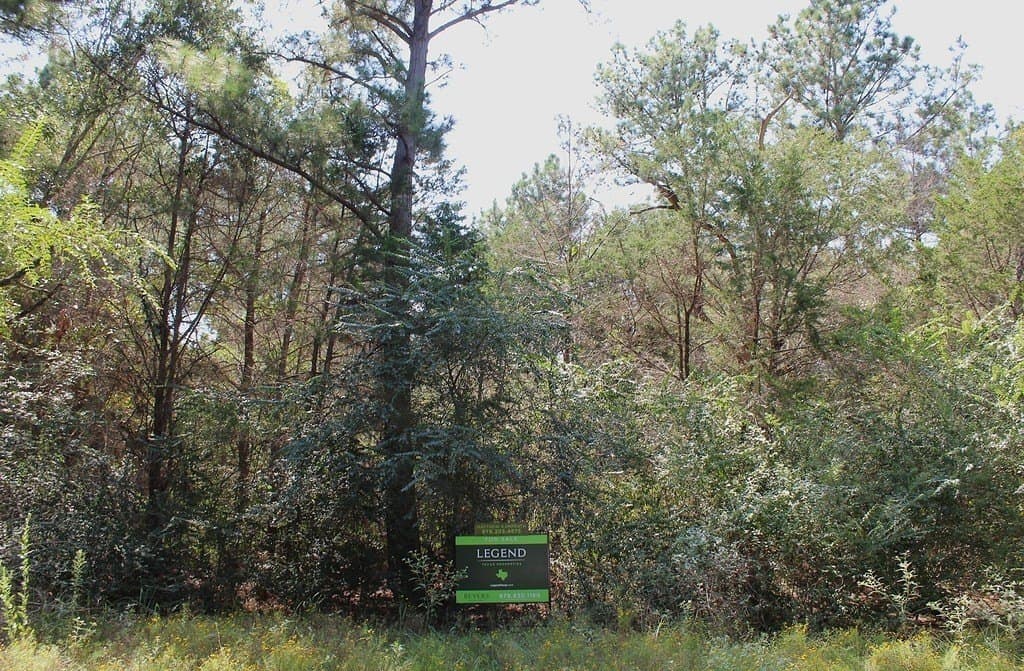 0.29 acres in Waller County gallery image 2