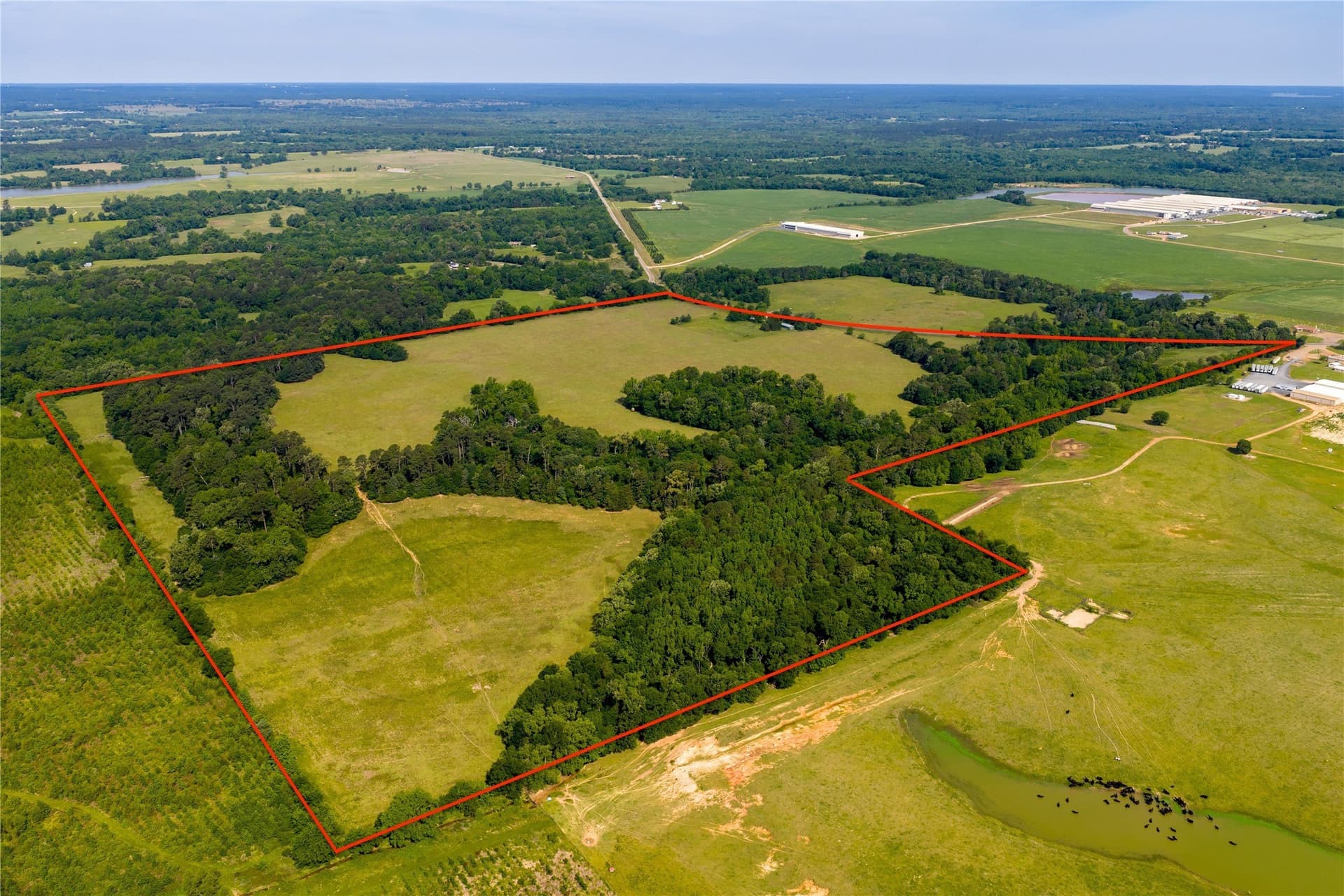 138 acres in Upshur County - photo 7