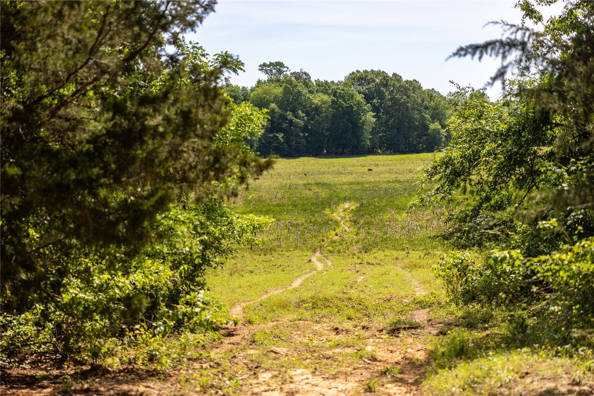 138 acres in Upshur County - photo 9