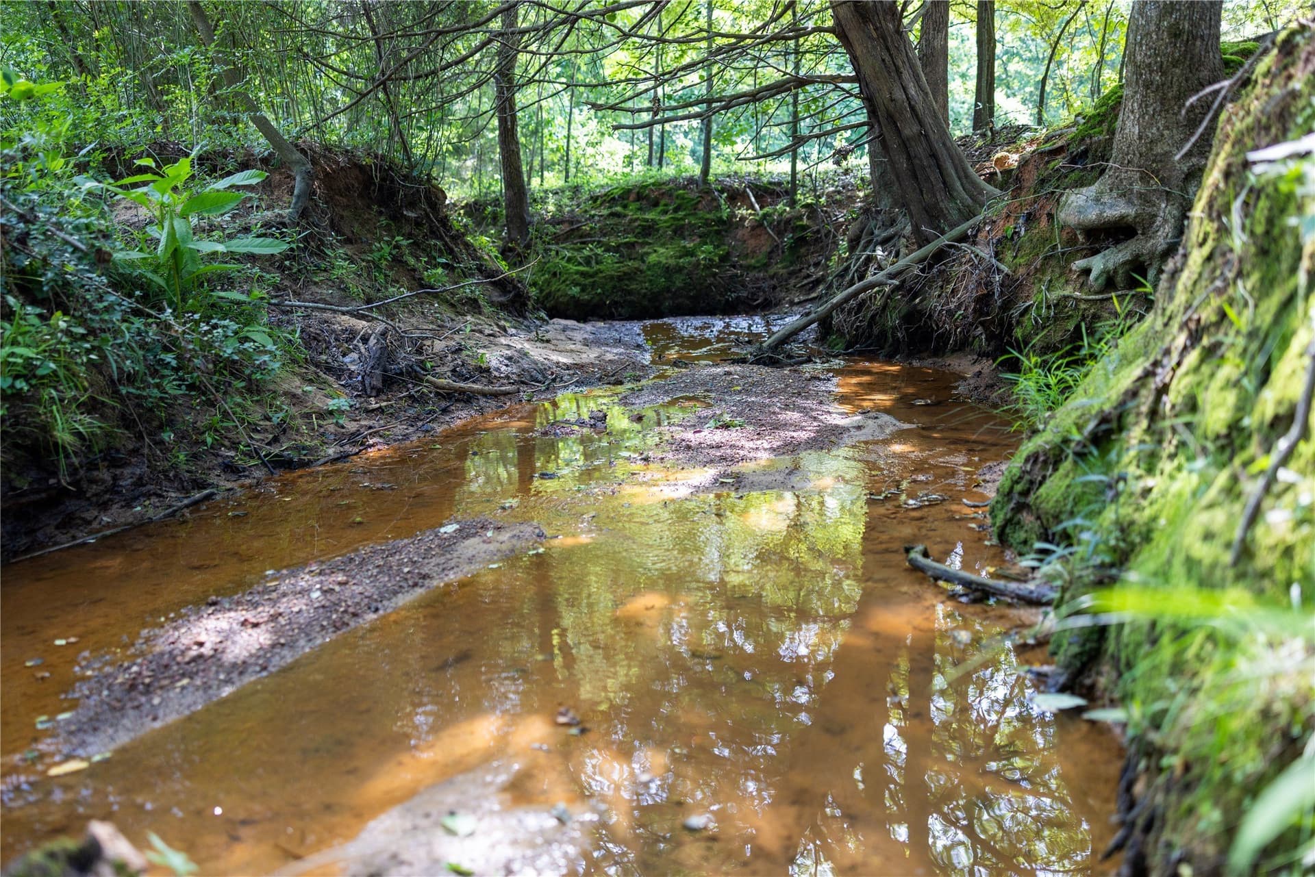 138 acres in Upshur County - photo 10