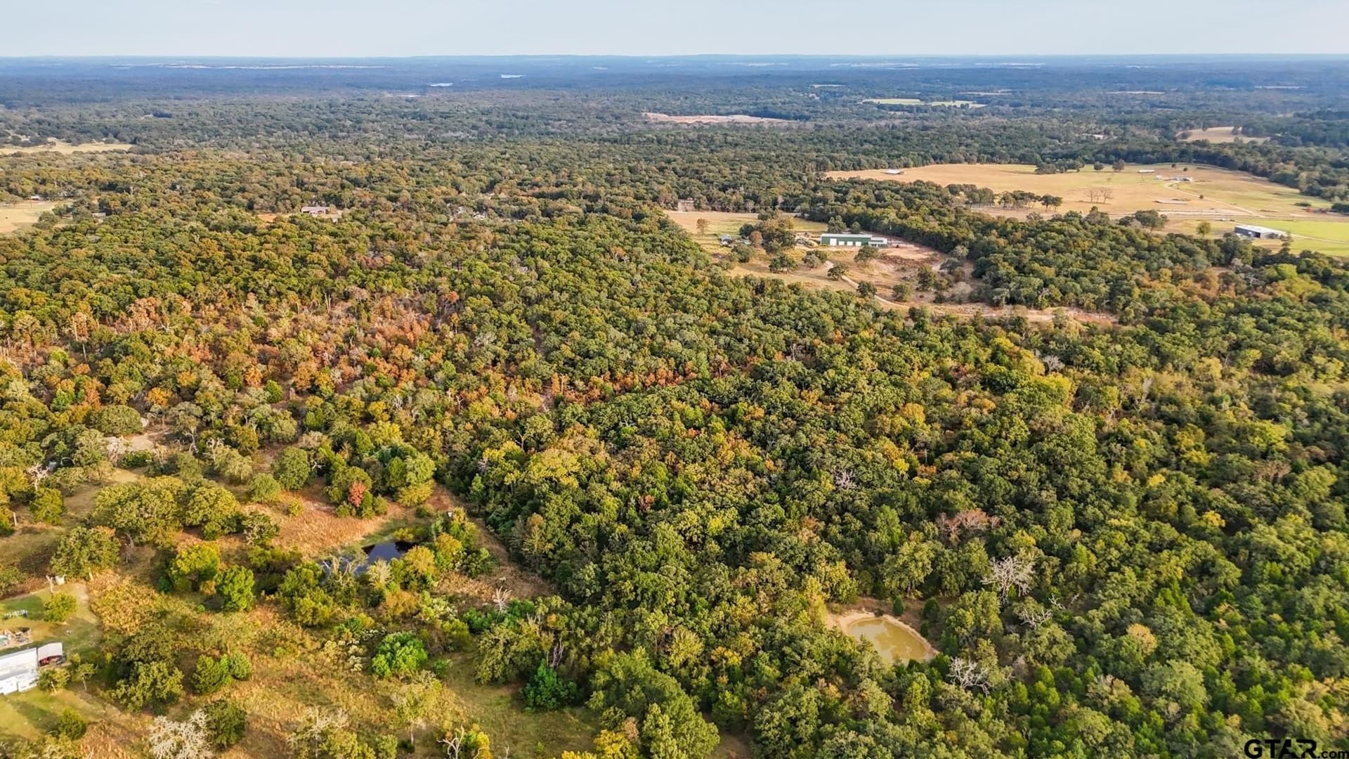 20.47 acres in Henderson County - photo 9