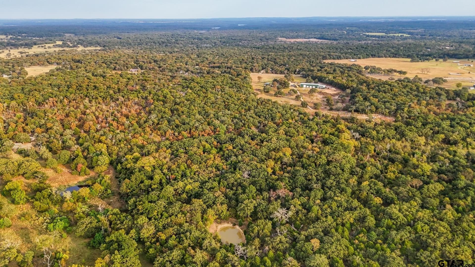 20.47 acres in Henderson County - photo 10