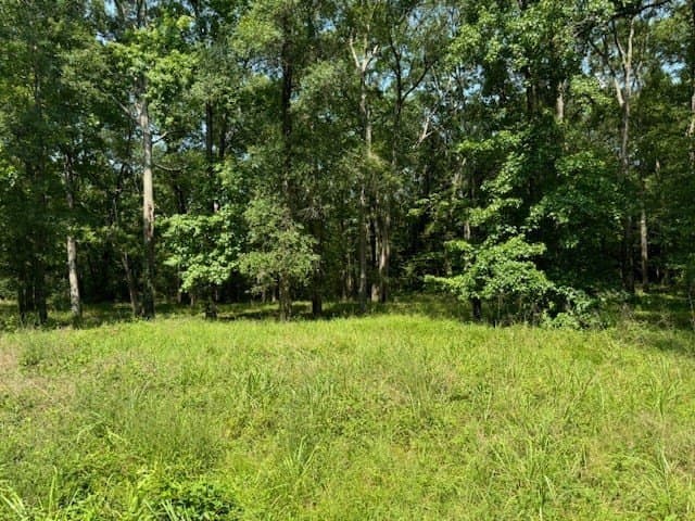 0.52 acres in Texas County gallery image 2