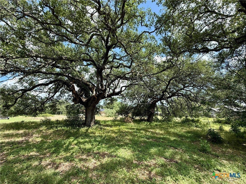 0.5 acres in Bell County - photo 14