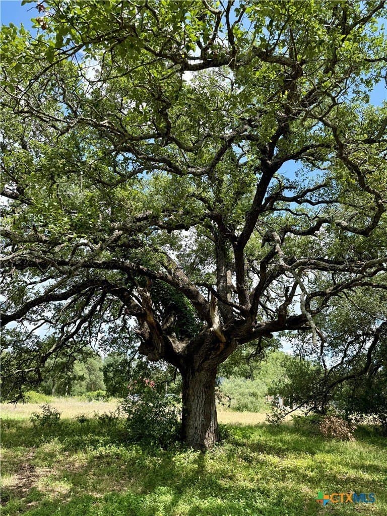0.5 acres in Bell County - photo 13