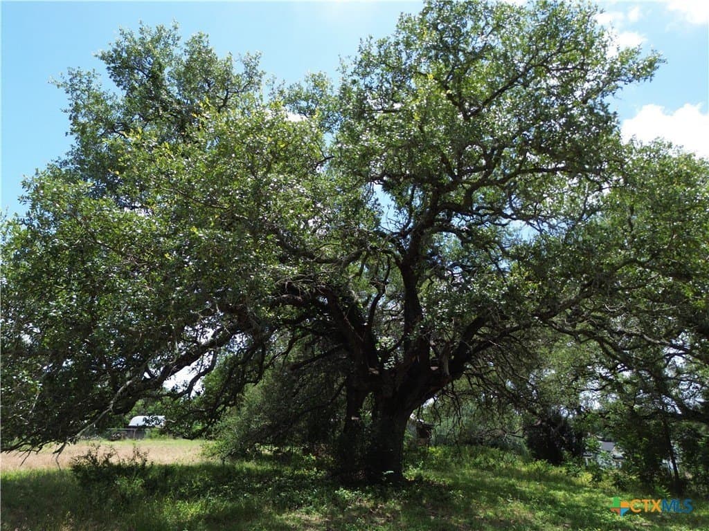 0.5 acres in Bell County - photo 11