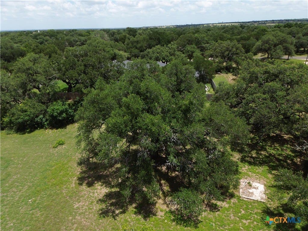 0.5 acres in Bell County - photo 6