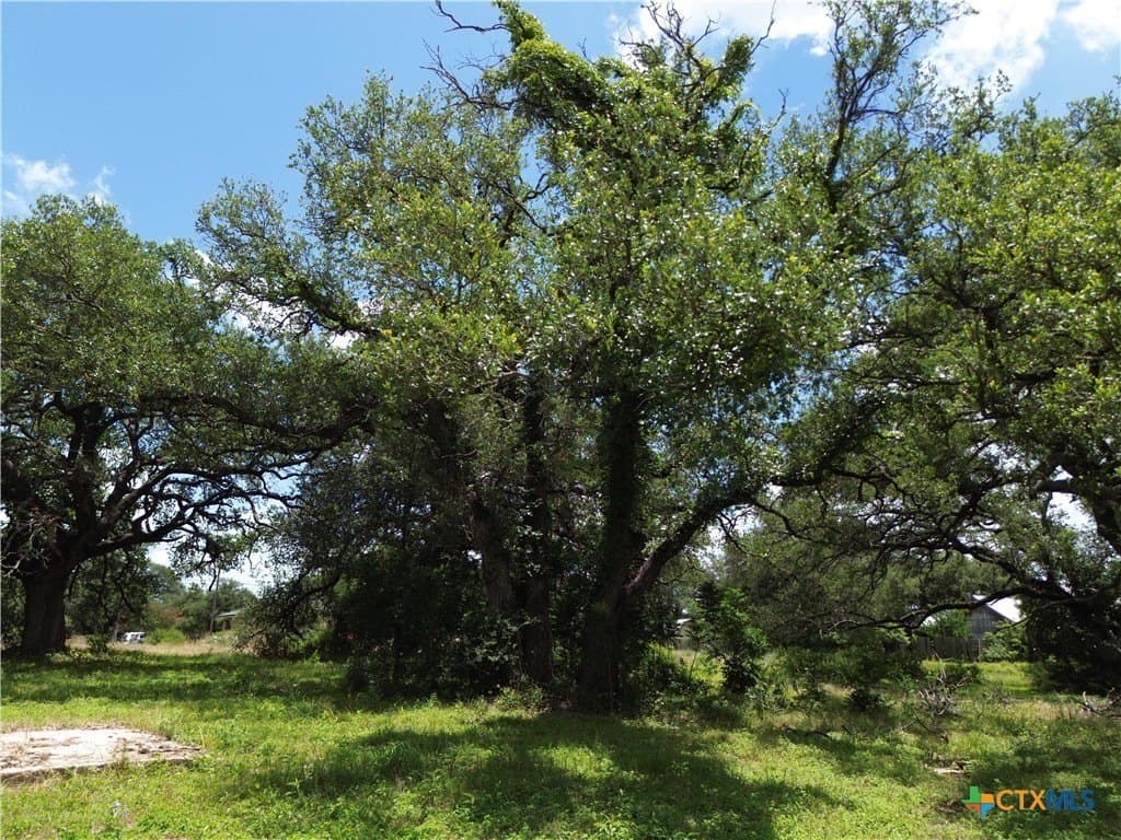 0.5 acres in Bell County - photo 10