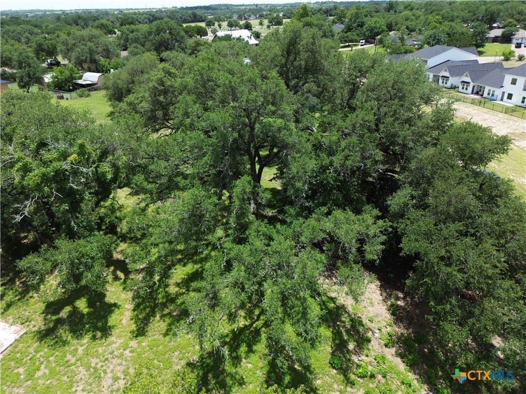 0.5 acres in Bell County - photo 7