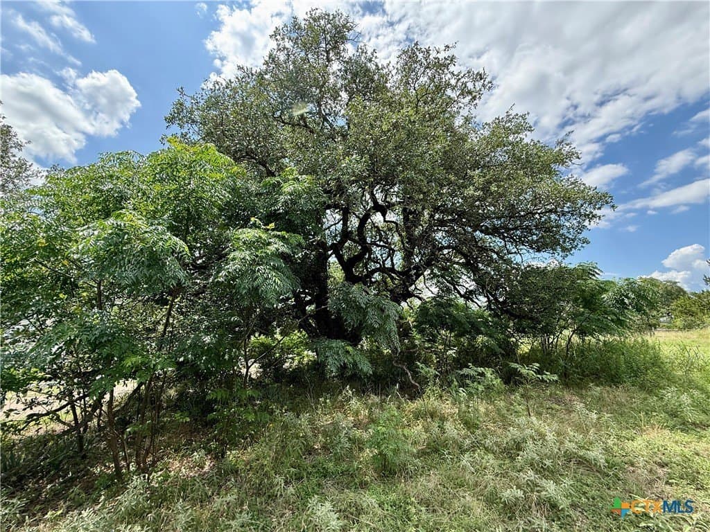 0.5 acres in Bell County - photo 15