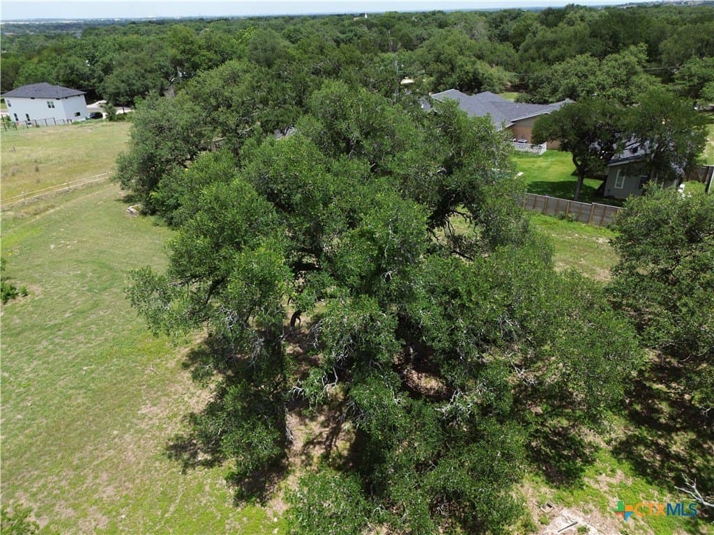 0.5 acres in Bell County - photo 8