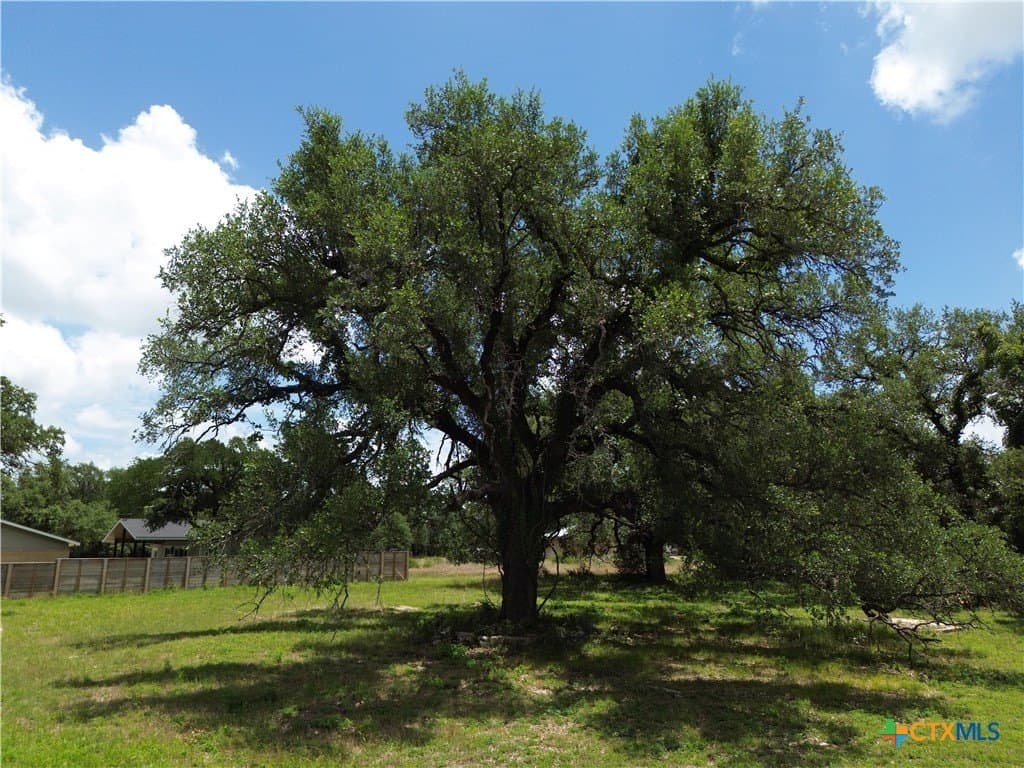 0.5 acres in Bell County - photo 9