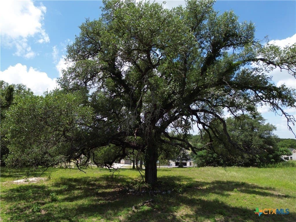 0.5 acres in Bell County - photo 12
