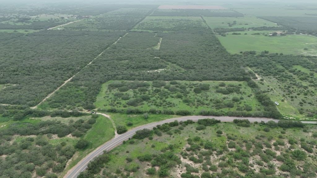 78.34 acres in Brooks County gallery image 4