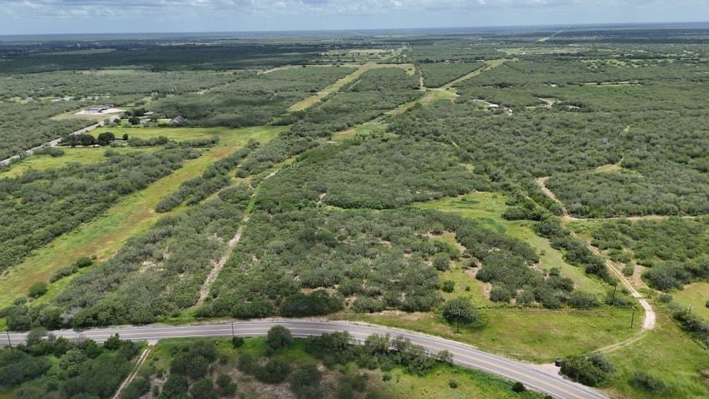 78.34 acres in Brooks County gallery image 2