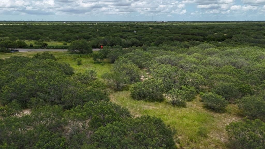 78.34 acres in Brooks County gallery image 4