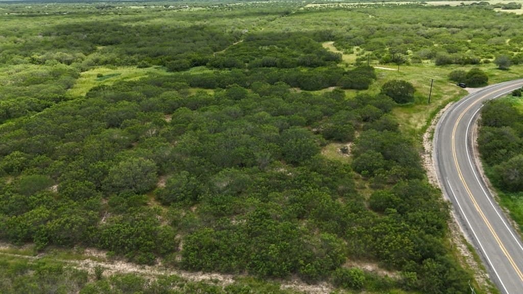 78.34 acres in Brooks County - photo 7