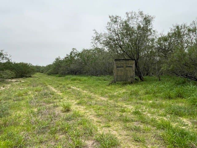 78.34 acres in Brooks County gallery image 2