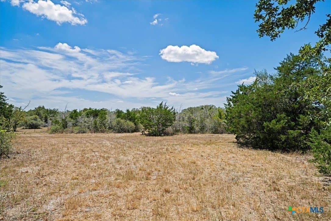 9 acres in Fayette County - photo 4
