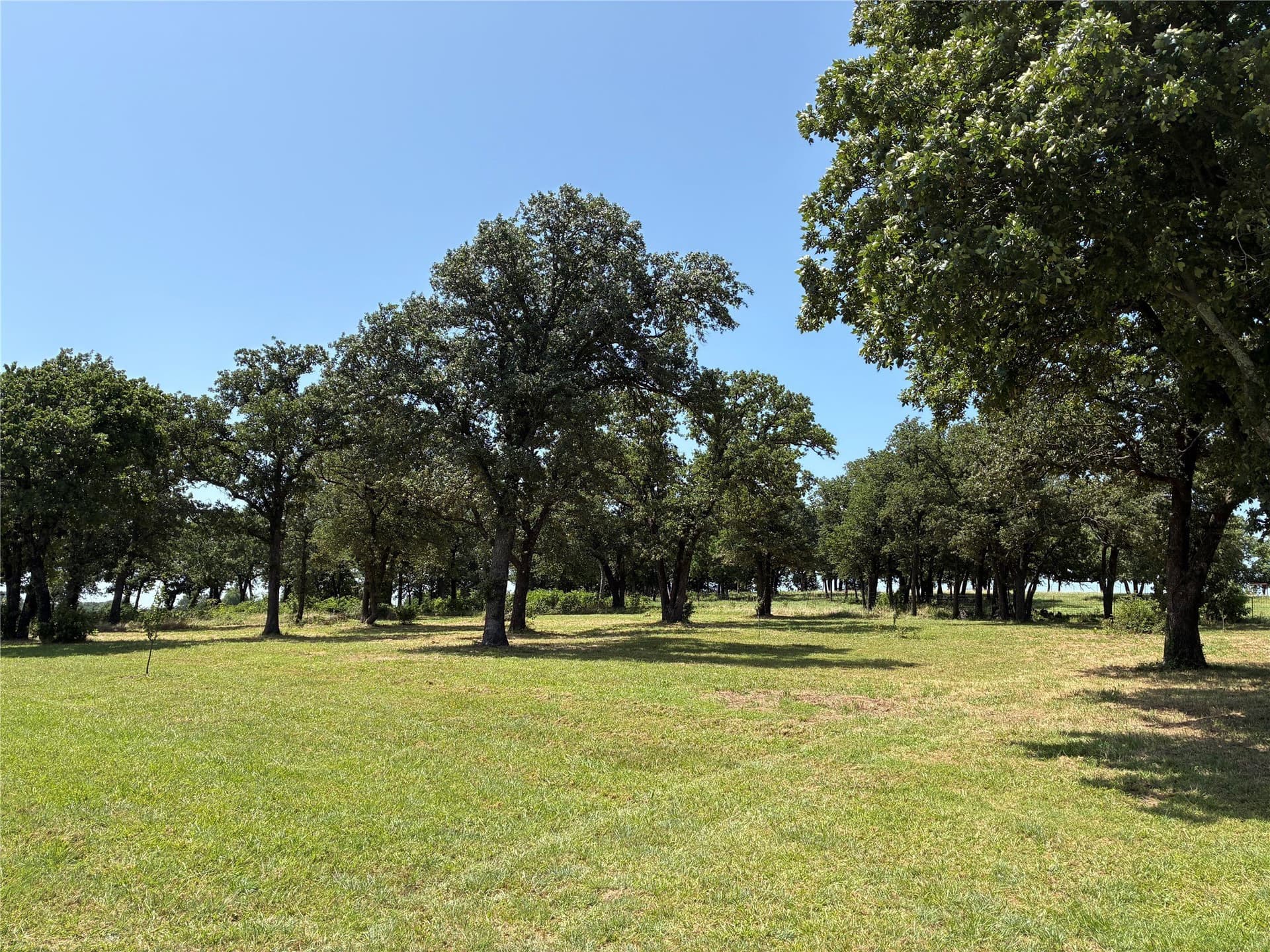 7 acres in Cooke County - photo 3