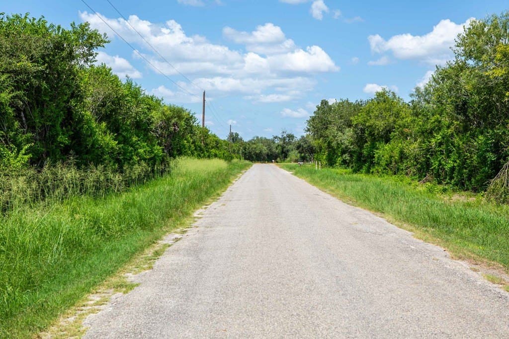 11 acres in Bee County gallery image 2