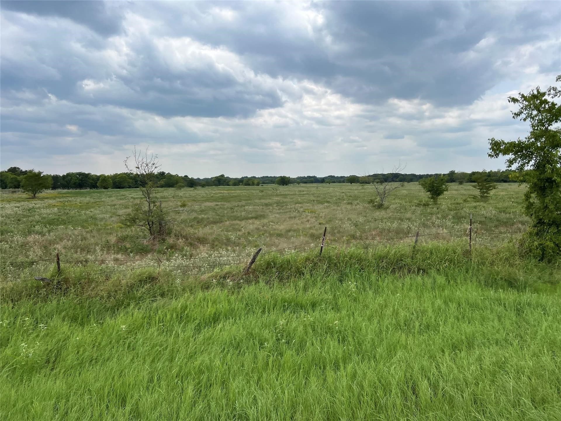 53.45 acres in Hunt County - photo 3