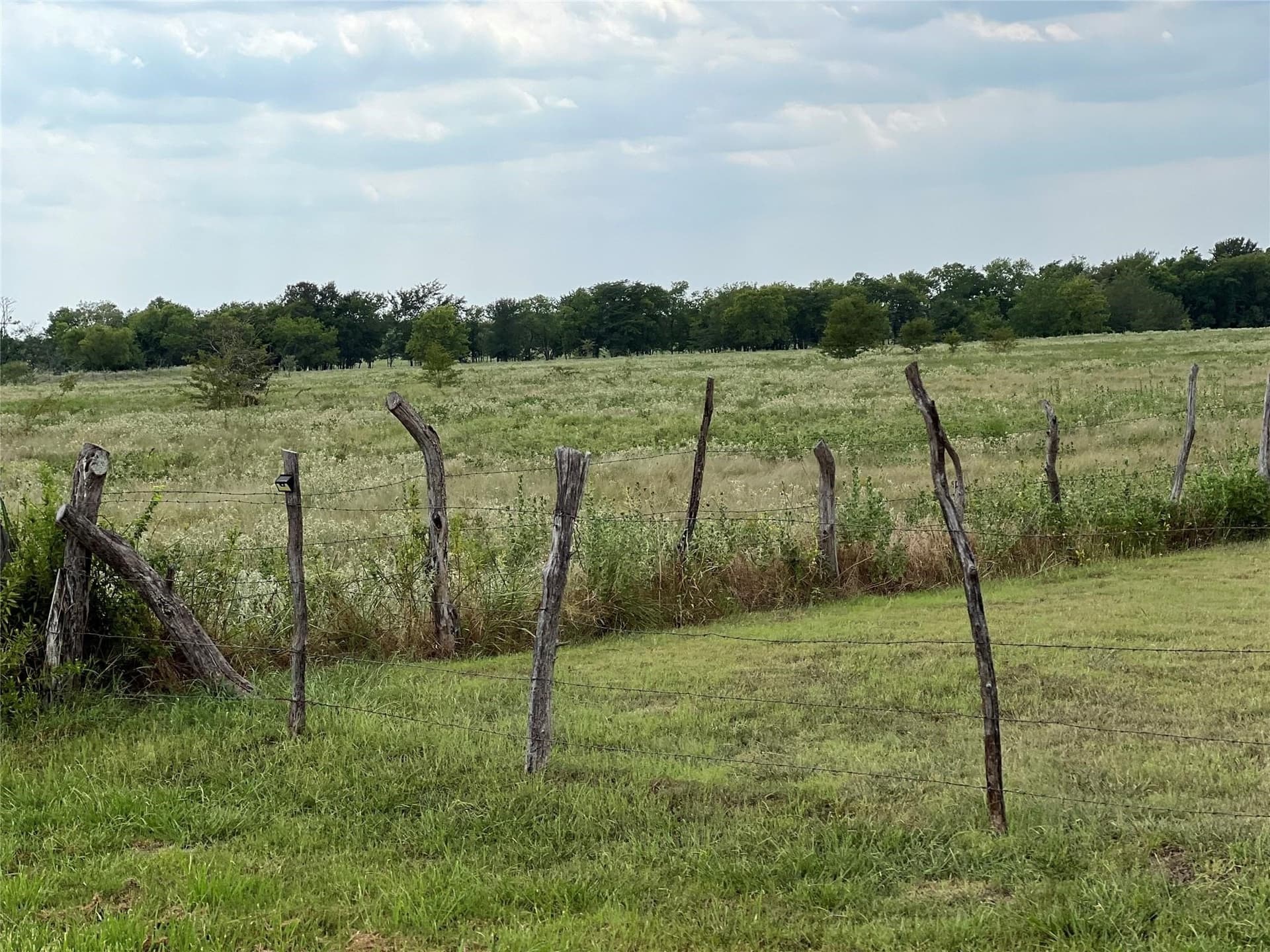 53.45 acres in Hunt County - photo 9