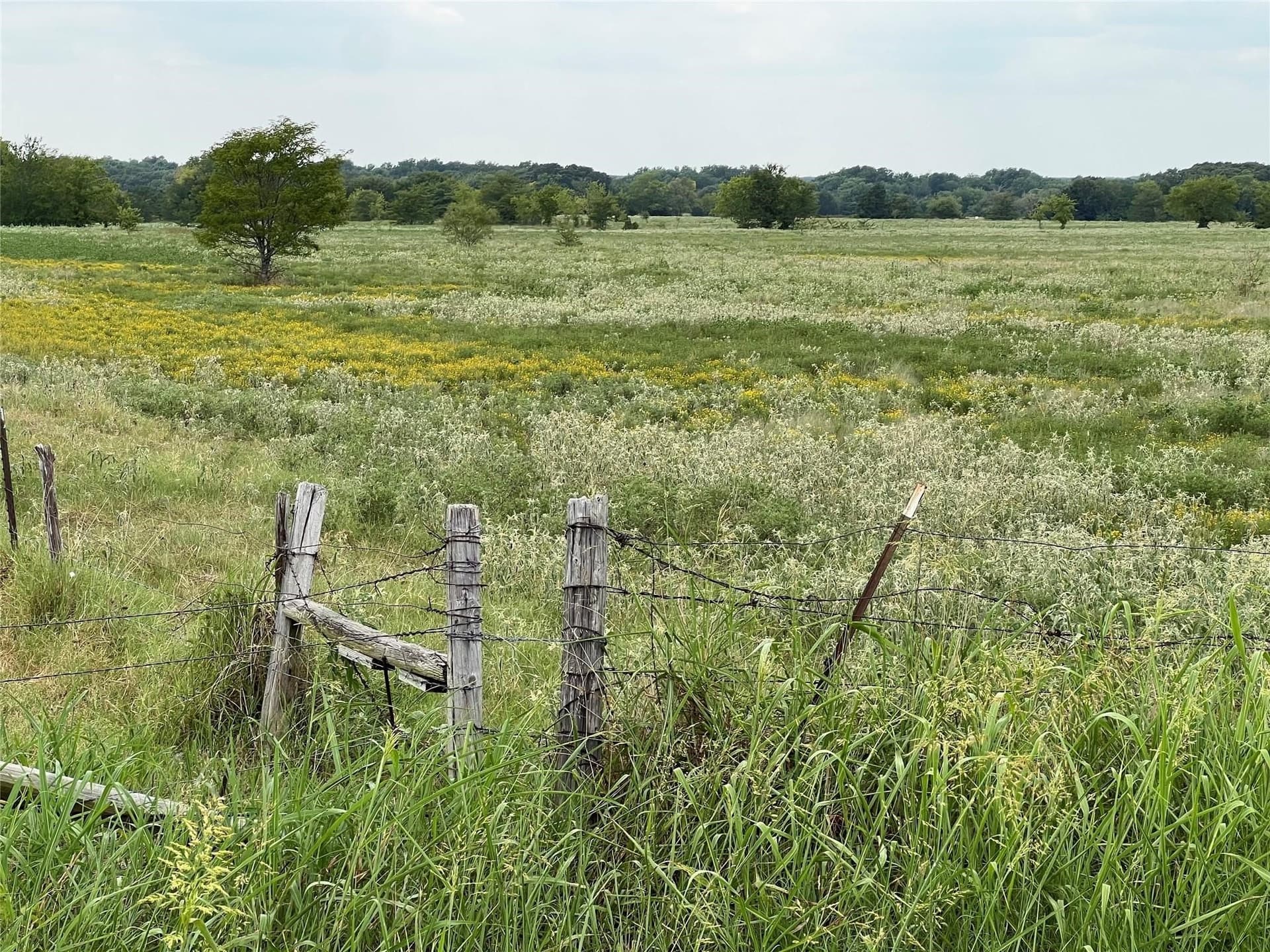53.45 acres in Hunt County - photo 13